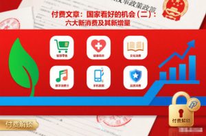 付费文章：国家看好的机会(二)：六大新消费及其新增量-沐风资源库
