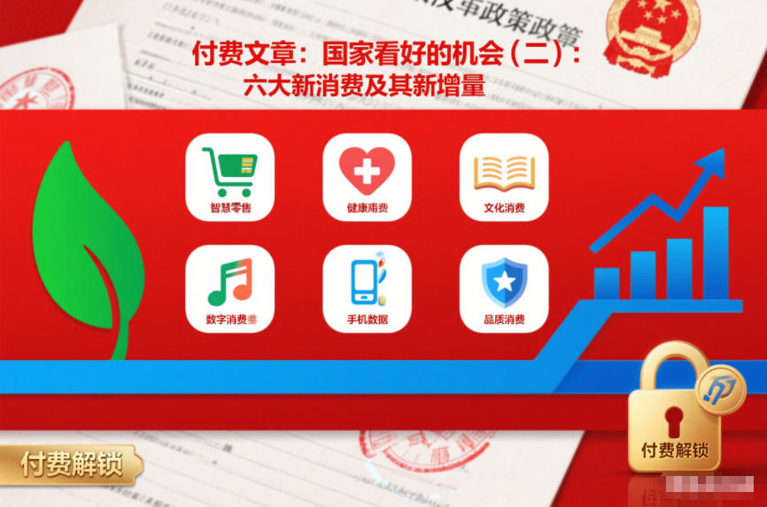 付费文章：国家看好的机会(二)：六大新消费及其新增量-沐风资源库