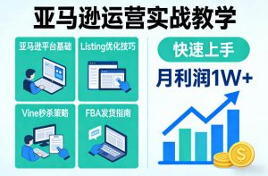亚马逊运营实战教学，亚马逊平台+Listing优化+Vine秒杀+FBA发货等，快速上手，实现店铺月利润1W-沐风资源库