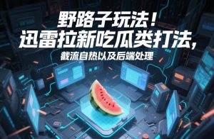 野路子玩法！迅雷拉新吃瓜类打法，截流自热以及后端处理-沐风资源库