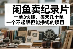 闲鱼卖纪录片，一单3快钱，每天几十单，一个不起眼但能挣钱的项目【揭秘】-沐风资源库