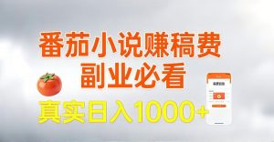 全网独家，番茄小说賺稿费邪修玩法，操作超级简单，单日收益1k+【揭秘】-沐风资源库