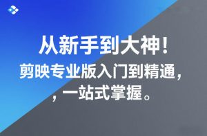 从新手到大神!剪映专业版入门到精通,一站式掌握-沐风资源库