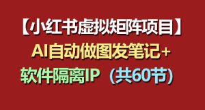小红书虚拟矩阵项目：软件隔离IP+AI自动做图发笔记（共60节）-沐风资源库