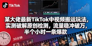 某大佬最新TikTok中视频搬运玩法,实测破解原创检测,流量稳冲破万,半个小时一条爆款-沐风资源库