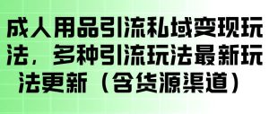 成人用品引流私域变现玩法，多种引流玩法最新玩法，操作简单（含货源渠道）-沐风资源库