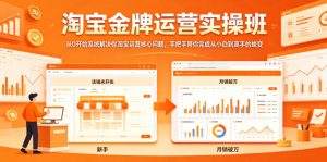 淘宝金牌运营实操班,从0开始系统解决你淘宝运营核心问题,手把手带你完成从小白到高手的蜕变-沐风资源库