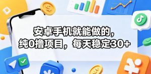 安卓手机就能做的，纯0撸项目，每天稳定30+-沐风资源库
