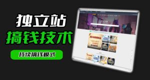 干货来袭！麦子甜带你吃透独立站｜从搭建到引流一站式教学《独立站》第一期-沐风资源库