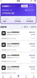 海外TikTok剪映cupcut拉新，市场广阔，潜力巨大，月入1w+，适合TK创作者的新机会-沐风资源库