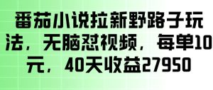 番茄小说拉新野路子玩法,无脑怼视频,玩法简单、见效快,每单10米,40天收益27950-沐风资源库