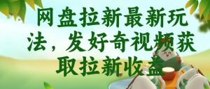 网盘拉新最新玩法,发好奇视频获取拉新收益,抖音收藏家玩法-沐风资源库