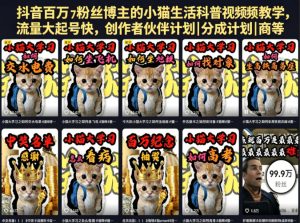 抖音百万粉丝博主的小猫生活科普视频教学，流量大起号快，创作者伙伴计划|分成计划|商单|收徒等-沐风资源库