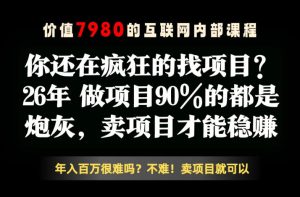 26年请不要疯狂的找项目了，卖项目远比你想象的暴利，你也可以月入10W+【揭秘】-沐风资源库