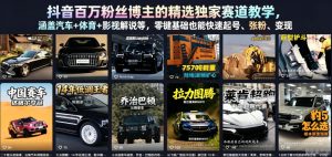 抖音百万粉丝博主的精选独家赛道教学，涵盖汽车+体育+影视解说等，零基础也能快速起号、涨粉、变现-沐风资源库