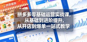 拼多多零基础运营实战课，从基础到进阶提升，从开店到爆单一站式教学-沐风资源库