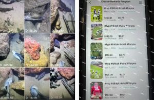 Tiktok中视频解说教程，体育+温情文案双赛道实操教程一站式带你落地，教你出海賺美刀-沐风资源库