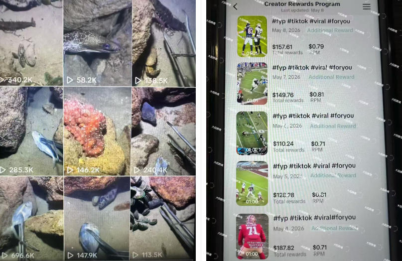 Tiktok中视频解说教程，体育+温情文案双赛道实操教程一站式带你落地，教你出海賺美刀-沐风资源库