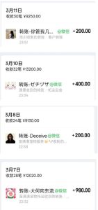 宠物托运阳光赛道賺钱教学，小众高刚需冷门项目，日均10单稳定盈利，单均利润200+-沐风资源库