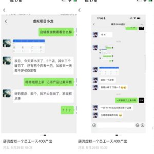 薅流虚拟2.0陪跑课，0成本AI流程化操作，淘宝+闲鱼同步玩法，上一次货两个平台有收益，单店每天200纯利润-沐风资源库